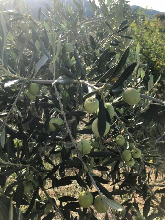 Marica Διαμέρισμα Ριέκα Εξωτερικό φωτογραφία